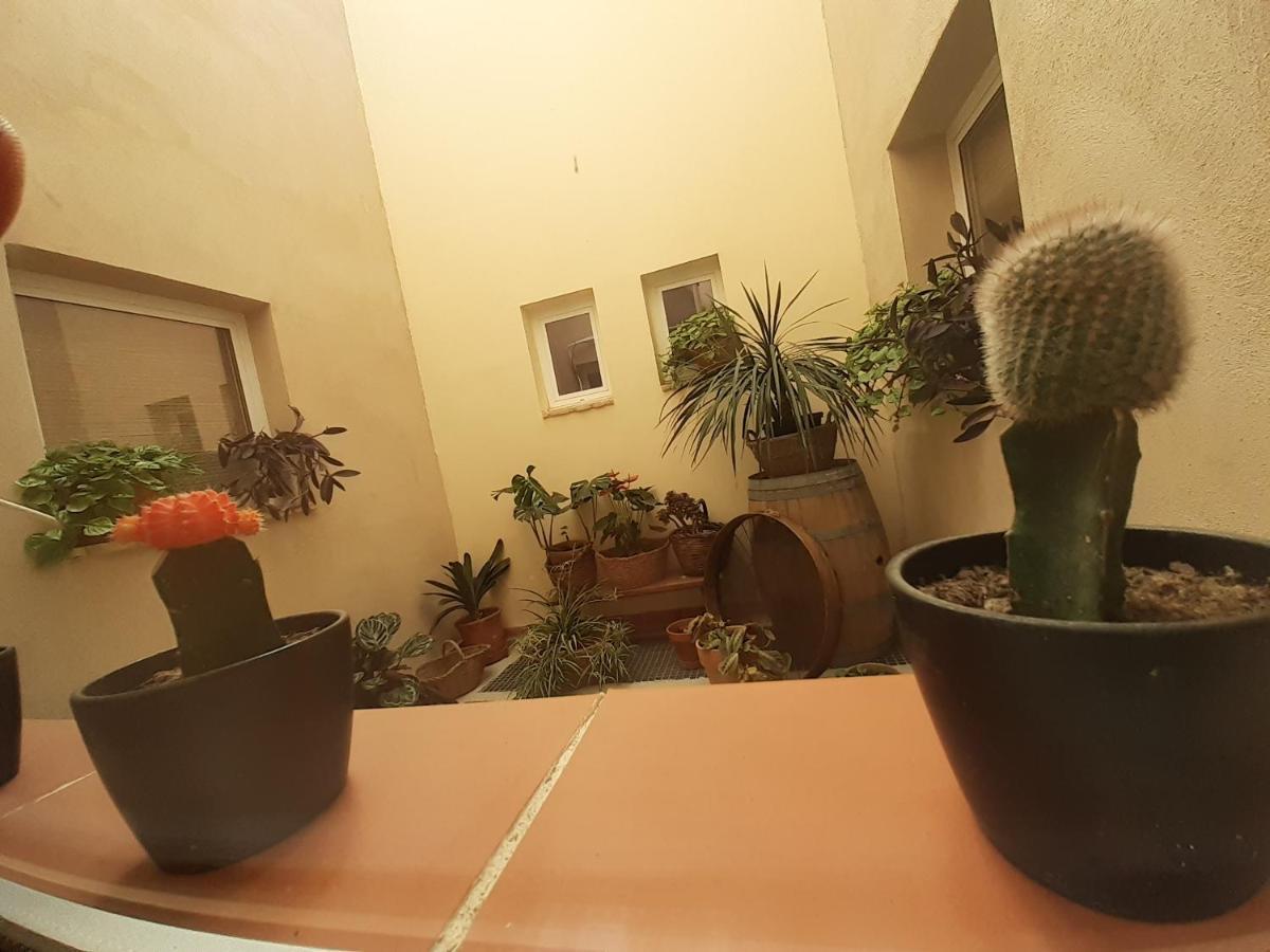 Casa La Foradada Panzió Corbera Kültér fotó